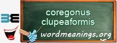 WordMeaning blackboard for coregonus clupeaformis